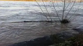 Relaxing Rhein Krefeld-Uerdingen