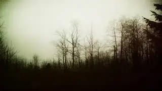 Celephaïs - Emptiness