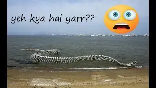 Amazing Things That Can Be Seen On Google Maps😮