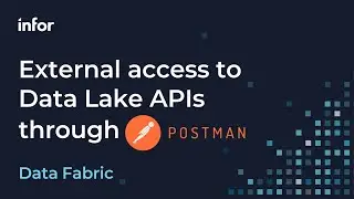 Setup External Access to Infor Data Lake Using Postman