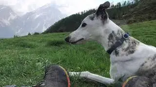 Passo Staulanza- Rifugio città di Fiume