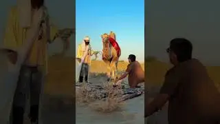 Saxro qiroli yo’l tanlamas Jac T8