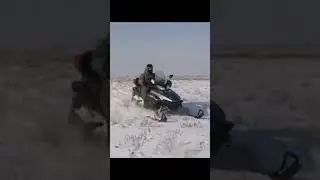 охота на волков.ВОЛК ЗАВАЛИЛ КОРОВУ