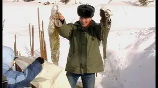 Рыбалка на крайнем севере | Рыбалка с помощью ловушки - морда
