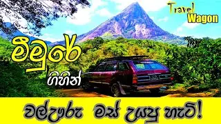 මීමුරේ සුන්දරත්වය. / Sri Lankan Style Wild Boar Curry  Cook in Meemure