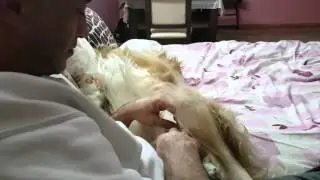 Zevkten dört  köşe Olan Dostum