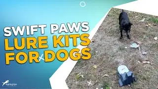 Review: Swift Paws Lure Kits for Dogs