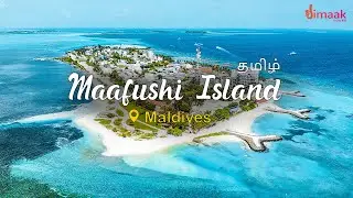 Maafushi Island FAQs || A Detailed Overview || Maldives