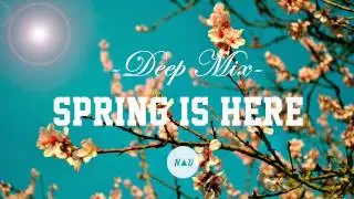 Spring Mix Deep Rhythm 2014 by NAU