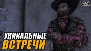 Fallout: New Vegas ⚡ | УНИКАЛЬНЫЕ ВСТРЕЧИ 👽 - ВСТРЕЧА С РАВНЫМ, ХОЗЯИН ВЕТРО-БРАМИНОВ 💨