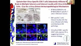 Emilee Knowlton: MHC Class I Pentamers and MHC Class II Tetramers to track antigen-specific T cells