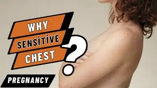 PREGNANCY | BREAST SENSITIVITY IN PREGNANCY | WEEK WEEK PREGNANCY