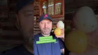 Профилактика заболеваний перед осенью! Мощное средство!