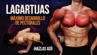 LAGARTIJAS: CÓMO HACERLAS PARA CONSTRUIR MÚSCULO
