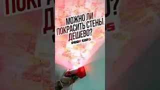 Можно ли покрасить стены дешего?