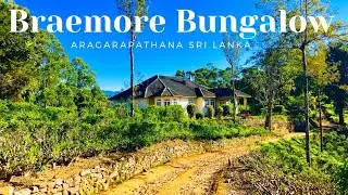 Braemore Bungalow, Argarapathana, Sri Lanka, #vlog