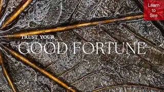 Trust Your Good Fortune | Intimate Landscape Photography