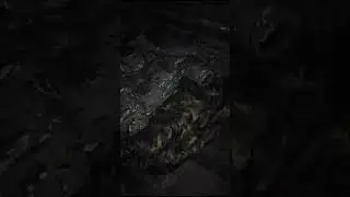 Быт Батальона Цесаревича Алексия 2