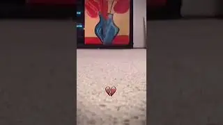 кот стал тапком