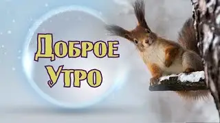 Начни УТРО с ЭТОЙ ПЕСНИ! 💥ПРЕМЬЕРА 2024! 🌝Союз Шадровых - Доброе утро!