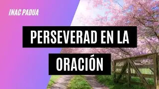 Perseverad en la oración ✅