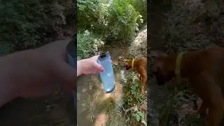 Outdoor fun with the 🐶 & my Aqua-Bright. Now we’re both able to stay #hydrated in this summer heat