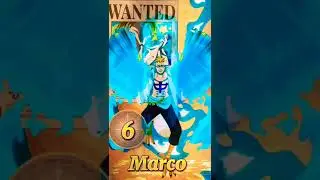 Top 10 Strongest vice captain in one piece 