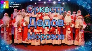 Концертная программа 