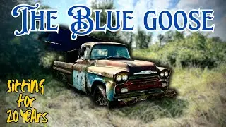 I Bought the CHEAPEST Chevy Apache on Facebook Marketplace! Will it Run?