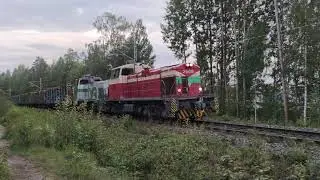Forest on rails