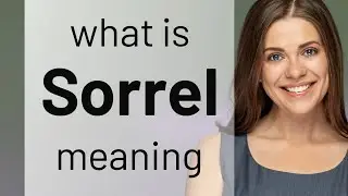 Sorrel • what is SORREL meaning