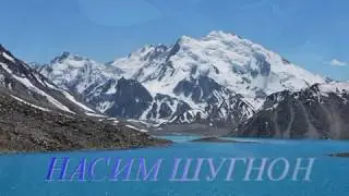 Насим 2019
