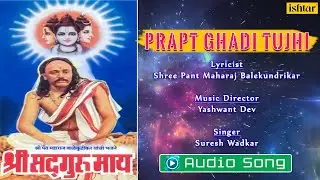 Shree Sadguru Maay 2