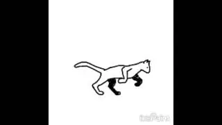 анимация бегущего кота #cat #funny #animation