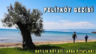 Pelitköy, Burhaniye (Pelitköy House for Sale and Land Prices?)