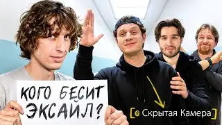 I tested the bloggers for humanity! Who's the Rat?