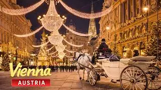 The Most Magical Christmas in the World? Vienna Christmas Night Tour 2025 🎄❄️