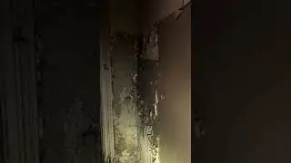 Abandoned & Lost Places - Decay in Progress 