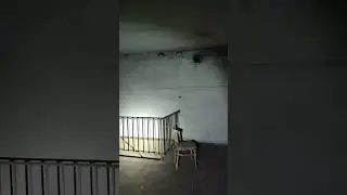 Находки в заброшенном немецком убежище в Калининграде. 
