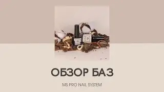 Обзор баз MS PRO NAIL SYSTEM