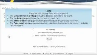 How to use the index manager