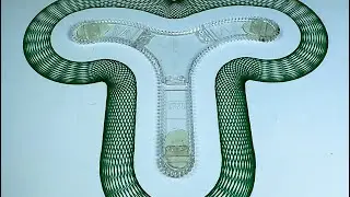 Spirograph | by ShR