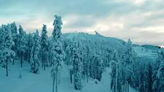 The North - Cinematic Drone Video