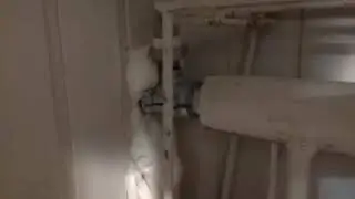 Муфта гебо компрессионная для врезки в трубу
