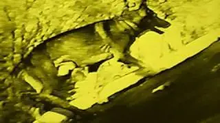 DV NIKT- GAMENESS