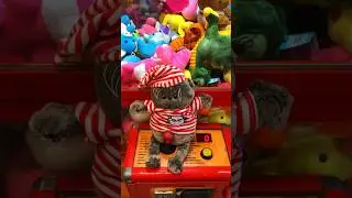 21 августа 2024г. #kids #play #toys #игрушки #хватайка #clawmachine