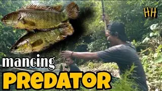 keseruan mancing dibendungan | film pendek