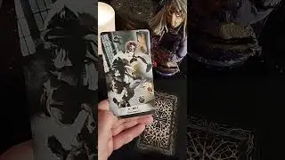 Кто о тебе думает? #онлайнгадание #tarot