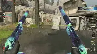 Got my first Swarm with the Akimbo Renettis & COR45!