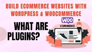 Build eCommerce websites with WordPress & WooCommerce - What are plugins?